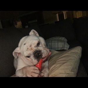 Meet your Posher, Caroline